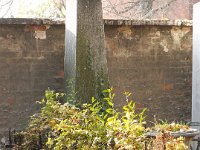 349 Steindl Terézia